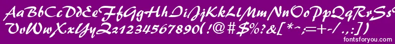 Więcej informacji o czcionce BrushFlash Czcionka BrushFlash – białe czcionki na fioletowym tle