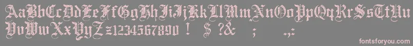 JmhSantaMariaRough Font – Pink Fonts on Gray Background