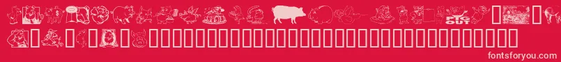 EinSchwein Font – Pink Fonts on Red Background