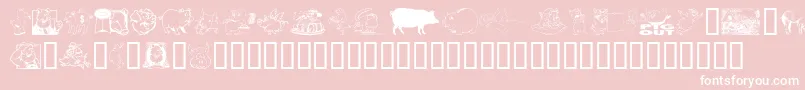 EinSchwein Font – White Fonts on Pink Background