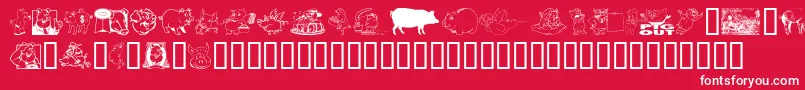 EinSchwein Font – White Fonts on Red Background