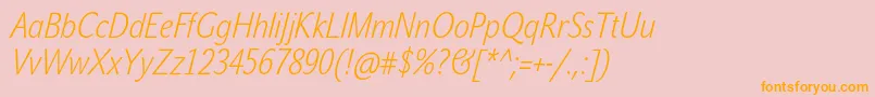 JohnsanscondWhiteProItalic Font – Orange Fonts on Pink Background