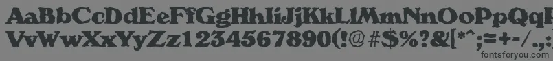 VeronarandomHeavyRegular Font – Black Fonts on Gray Background