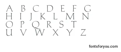 Обзор шрифта Medici