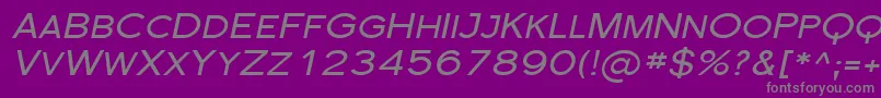 FlorencesansScExpItalic Font – Gray Fonts on Purple Background