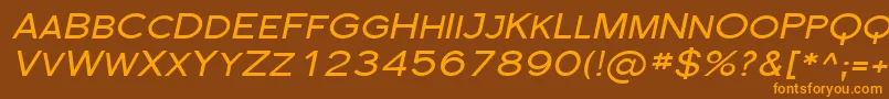 FlorencesansScExpItalic Font – Orange Fonts on Brown Background