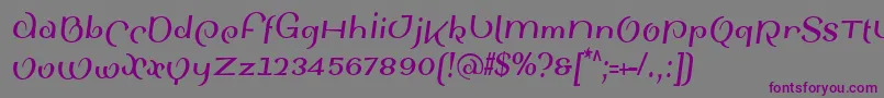 SinahsansLtBoldCondensedItalic Font – Purple Fonts on Gray Background