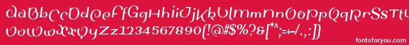 フォントSinahsansLtBoldCondensedItalic – 赤い背景に白い文字