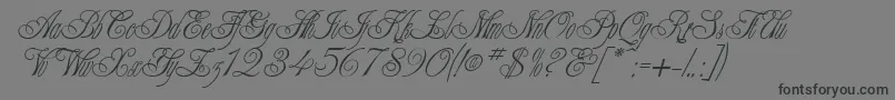 ChampagneCyrillic Font – Black Fonts on Gray Background