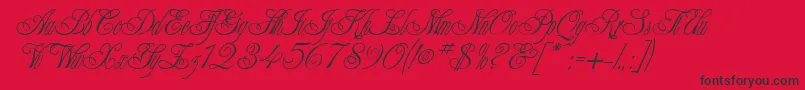 ChampagneCyrillic Font – Black Fonts on Red Background