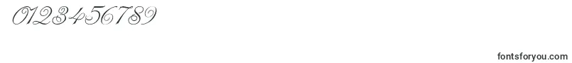 ChampagneCyrillic Font – Fonts for Numbers and Digits
