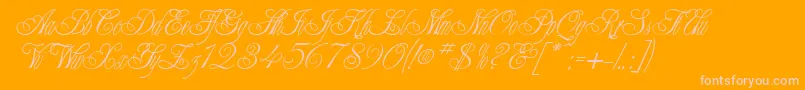 ChampagneCyrillic Font – Pink Fonts on Orange Background