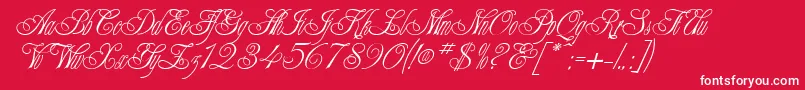 ChampagneCyrillic Font – White Fonts on Red Background