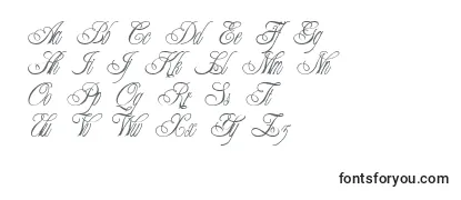 Review of the ChampagneCyrillic Font