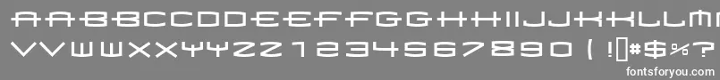 フォント1979 – 灰色の背景に白い文字