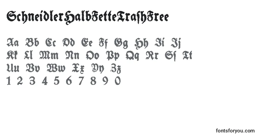 Шрифт SchneidlerHalbFetteTrashFree – алфавит, цифры, специальные символы