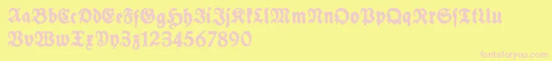 SchneidlerHalbFetteTrashFree Font – Pink Fonts on Yellow Background