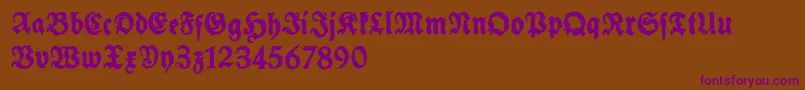 SchneidlerHalbFetteTrashFree Font – Purple Fonts on Brown Background