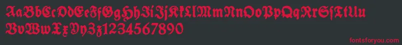 SchneidlerHalbFetteTrashFree Font – Red Fonts on Black Background