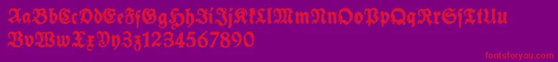 SchneidlerHalbFetteTrashFree Font – Red Fonts on Purple Background