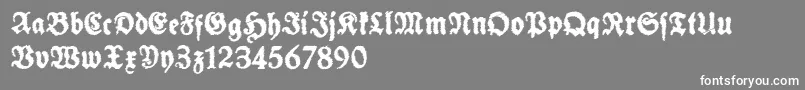 SchneidlerHalbFetteTrashFree Font – White Fonts on Gray Background