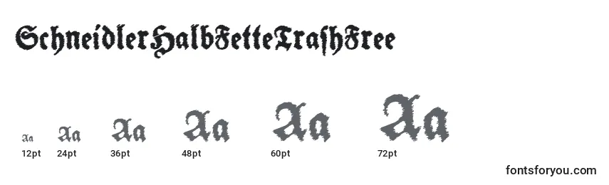 Размеры шрифта SchneidlerHalbFetteTrashFree