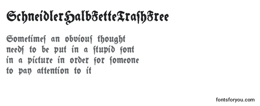 Review of the SchneidlerHalbFetteTrashFree Font