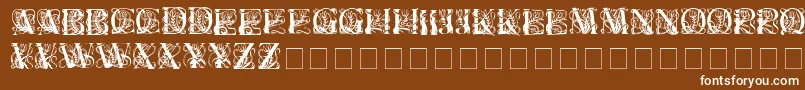 Elzeviercaps Font – White Fonts on Brown Background