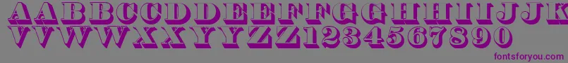 フォントThorne – 紫色のフォント、灰色の背景