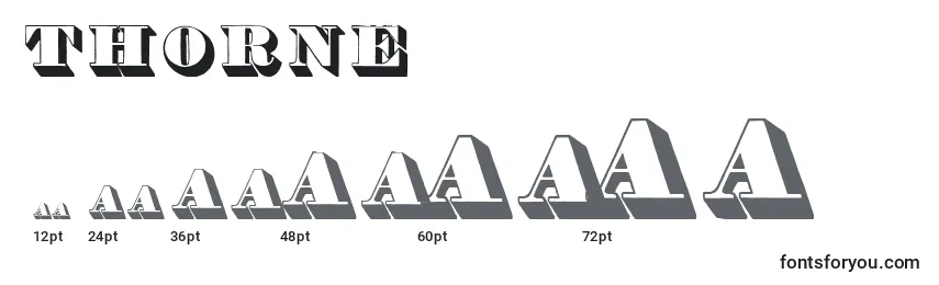 Thorne Font Sizes