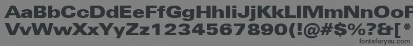 ZurichUltraBlackExtendedBt Font – Black Fonts on Gray Background