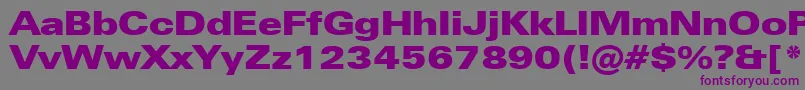 ZurichUltraBlackExtendedBt Font – Purple Fonts on Gray Background