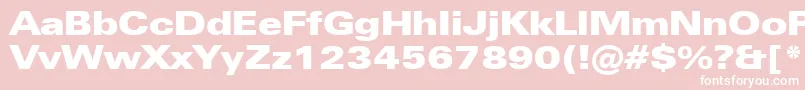 ZurichUltraBlackExtendedBt Font – White Fonts on Pink Background