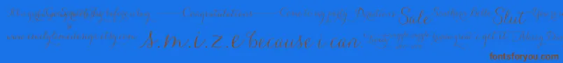 CarolynaWords Font – Brown Fonts on Blue Background