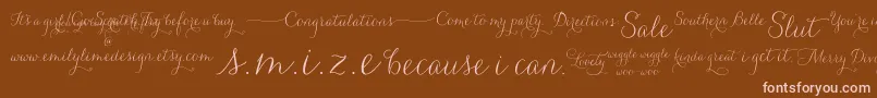CarolynaWords Font – Pink Fonts on Brown Background