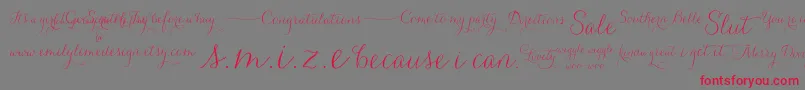 CarolynaWords-fontti – punaiset fontit harmaalla taustalla