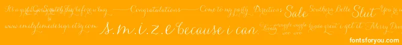 CarolynaWords-Schriftart – Weiße Schriften auf orangefarbenem Hintergrund