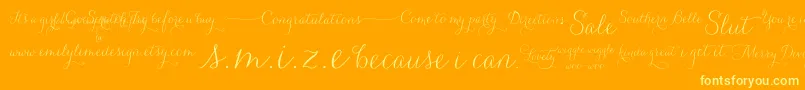 fuente CarolynaWords – Fuentes Amarillas Sobre Fondo Naranja