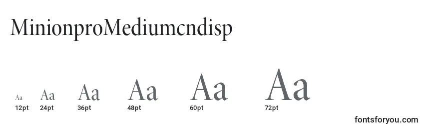 Размеры шрифта MinionproMediumcndisp