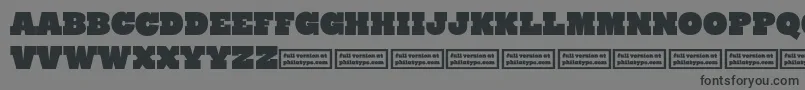 RynoSlabCaps Font – Black Fonts on Gray Background