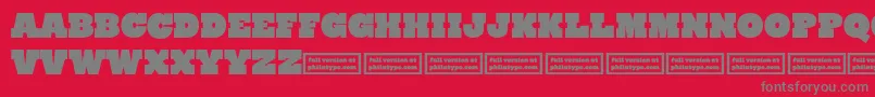 RynoSlabCaps Font – Gray Fonts on Red Background