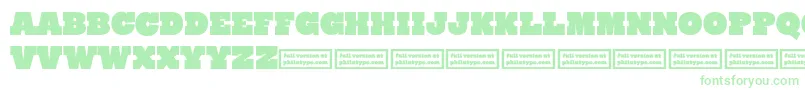 RynoSlabCaps Font – Green Fonts on White Background