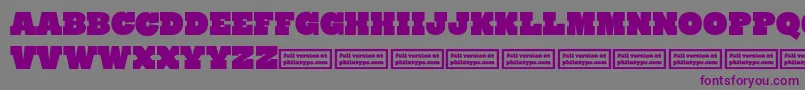 Шрифт RynoSlabCaps – фиолетовые шрифты на сером фоне