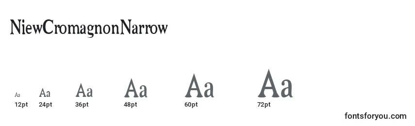 NiewCromagnonNarrow Font Sizes