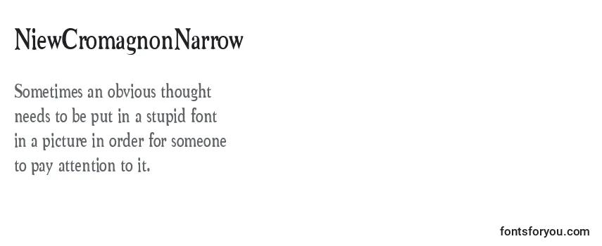 Обзор шрифта NiewCromagnonNarrow