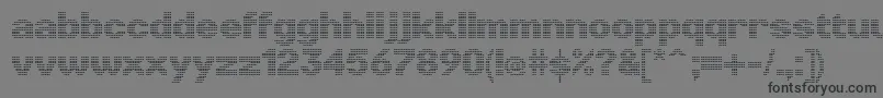 フォントLinotypePunktBold – 黒い文字の灰色の背景