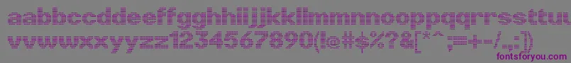 フォントLinotypePunktBold – 紫色のフォント、灰色の背景