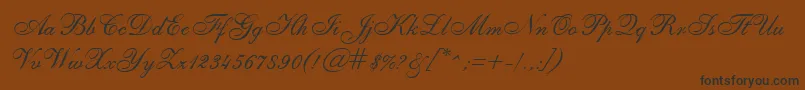 SheerEleganceRegular Font – Black Fonts on Brown Background