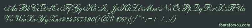 SheerEleganceRegular Font – Green Fonts on Black Background