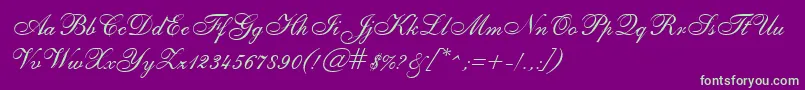 SheerEleganceRegular Font – Green Fonts on Purple Background